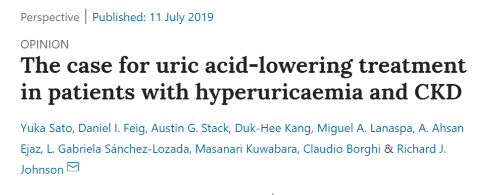 The case for uric acid-lowering treatment in patients with hyperuricaemia and CKD
